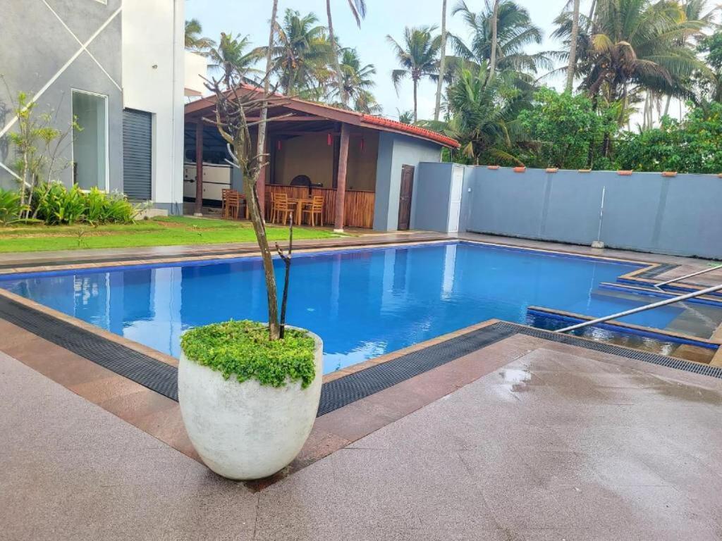 Canela Villa And Resort อาฮานกามา ภายนอก รูปภาพ
